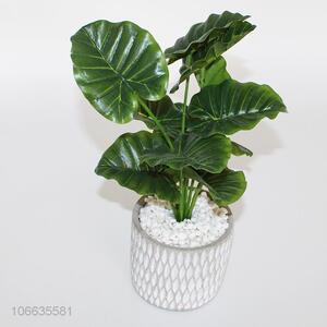 Competitive price simulation bonsai plastic plant