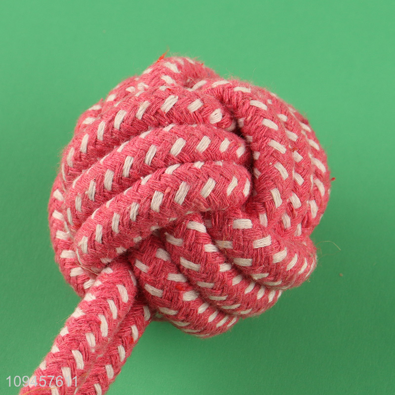 China products bite-resistant pet chew toys interactive toys
