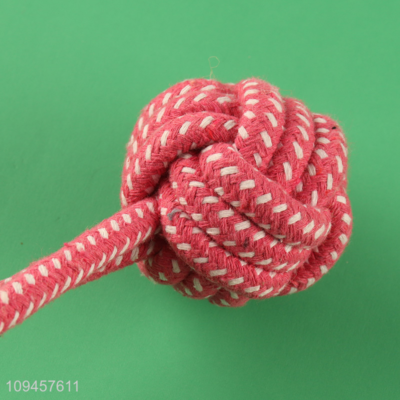 China products bite-resistant pet chew toys interactive toys