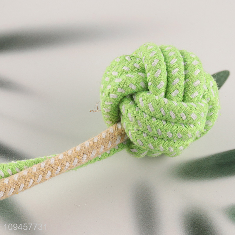 New arrival bite-resistant pet chew toys teething toys