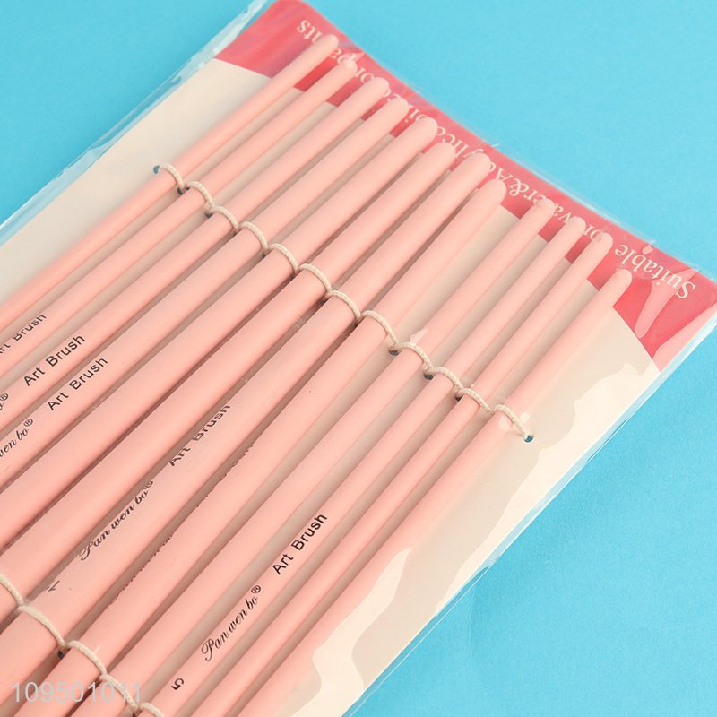 Good selling 12pcs art supplies paint brushes set