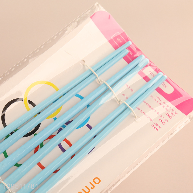 Online wholesale professional 6pcs oil painting brush
