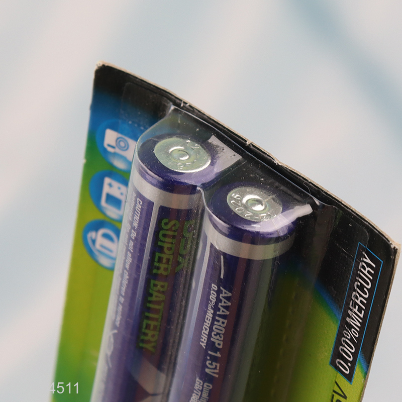 Top sale AAA carbon B2 carbon battery