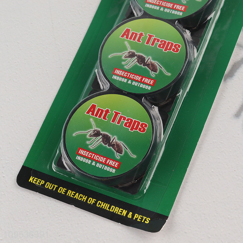 Hot selling indoor outdoor ant sticky trap