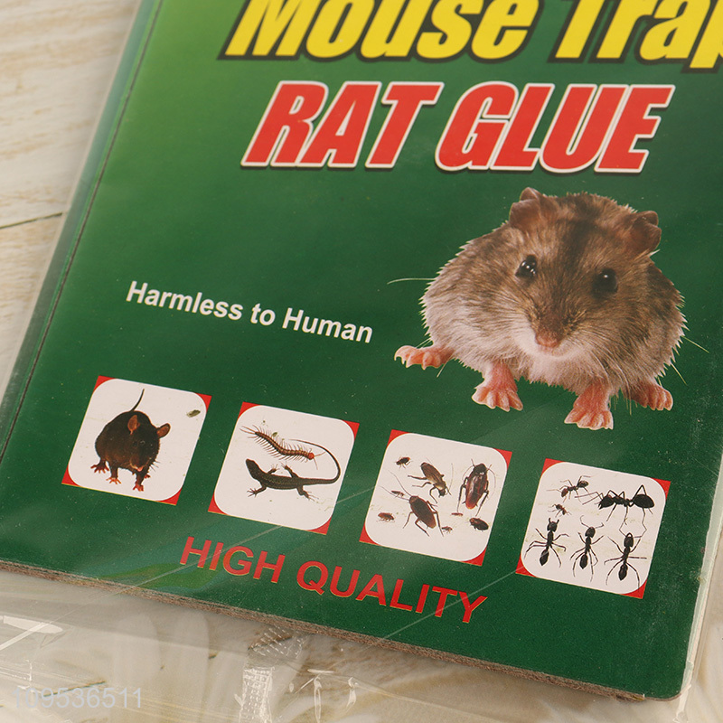 Wholesale mouse glue trap for indoor outdoor