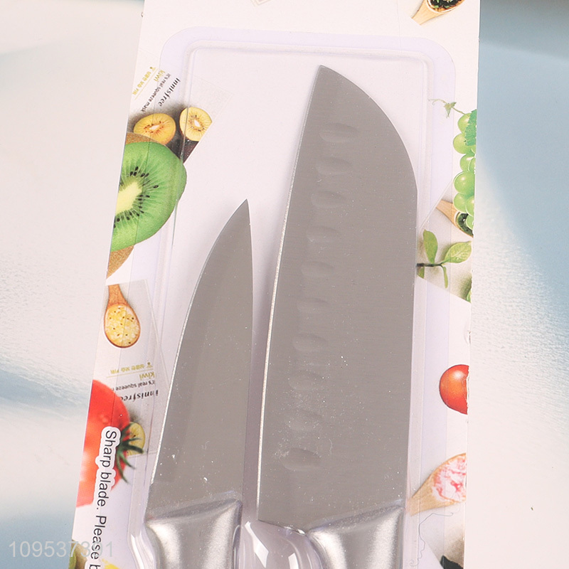 2 Pieces Stainless Steel Chef Knife Paring Knife Set