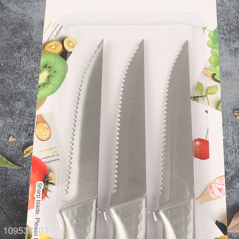 3 Pieces Stainless Steel Steak Knife Cutlery Set