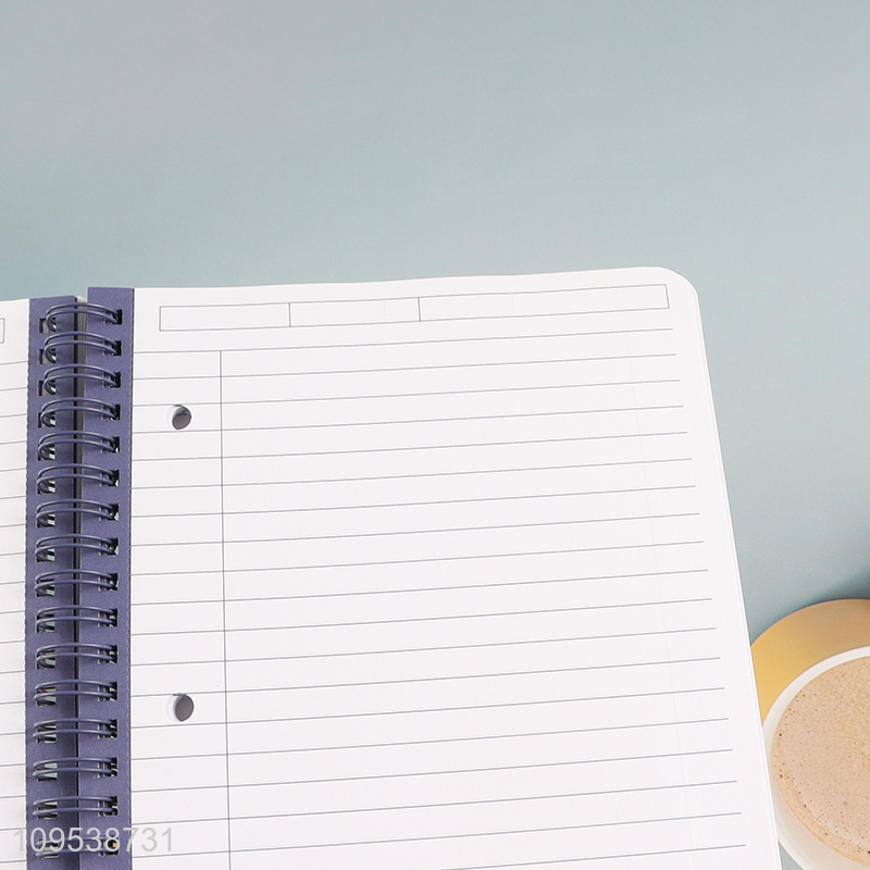 China supplier school student notebook spiral notebook